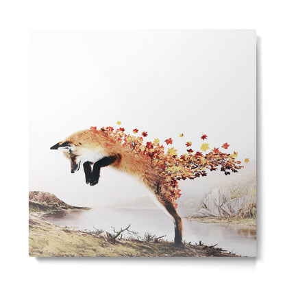 Autumn Fox Metal Print Gallery Image 5