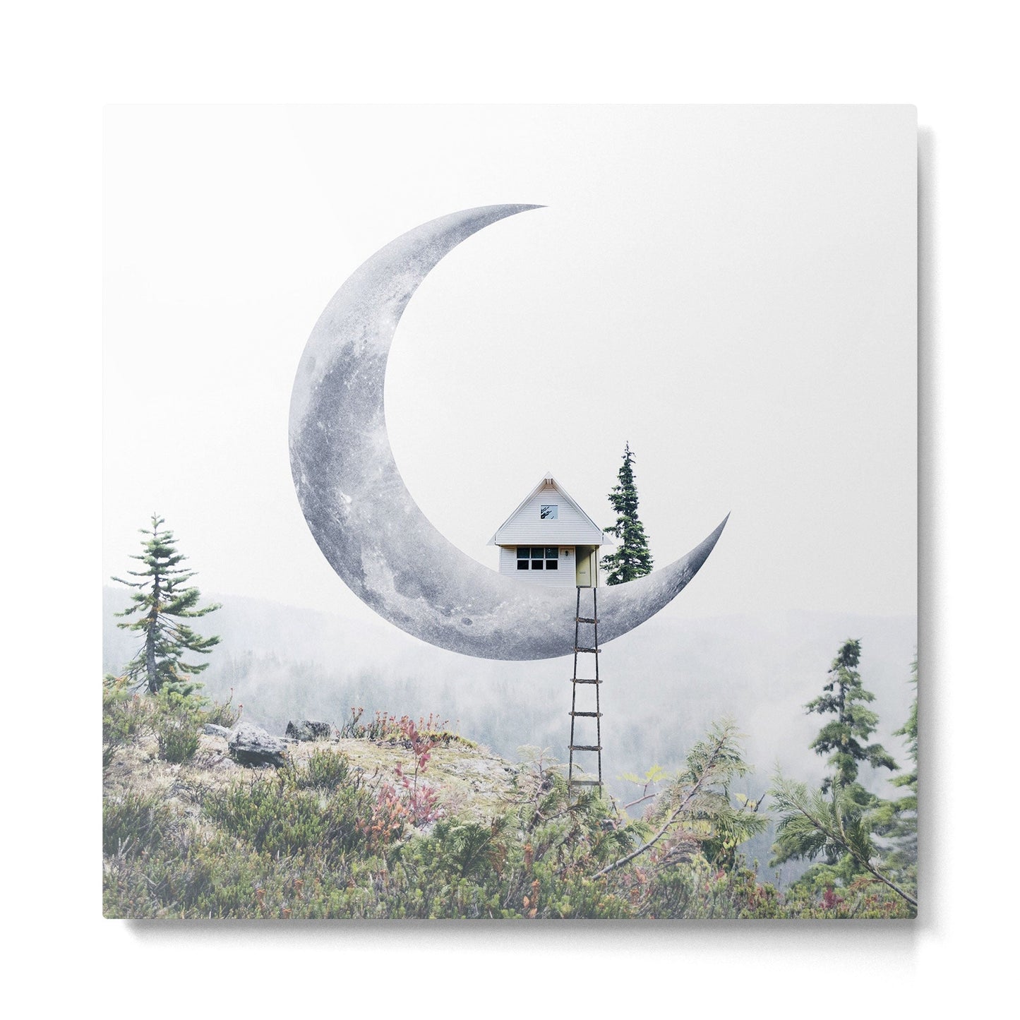 Moon House Metal Print Gallery Image 5
