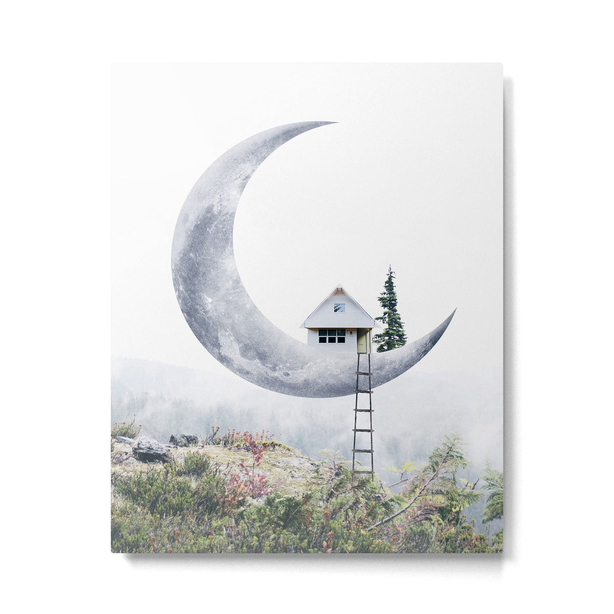 Moon House Metal Print Gallery Image 6