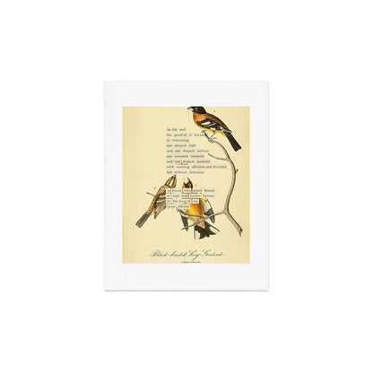 Bird Divinations: Black-headed Song-grosbeak (about: almanacofbirds.org) Art Print Gallery Image 2