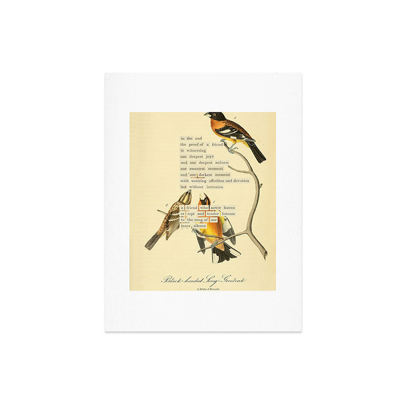 Bird Divinations: Black-headed Song-grosbeak (about: almanacofbirds.org) Art Print Gallery Image 6