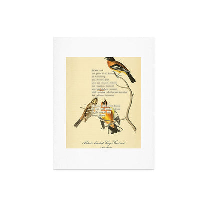 Bird Divinations: Black-headed Song-grosbeak (about: almanacofbirds.org) Art Print Gallery Image 6