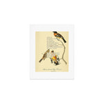 Bird Divinations: Black-headed Song-grosbeak (about: almanacofbirds.org) Art Print Gallery Image 1