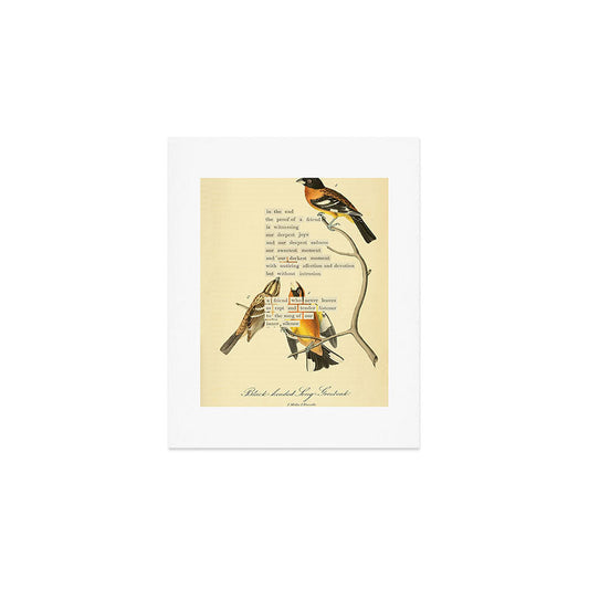 Bird Divinations: Black-headed Song-grosbeak (about: almanacofbirds.org) Art Print Gallery Image 1