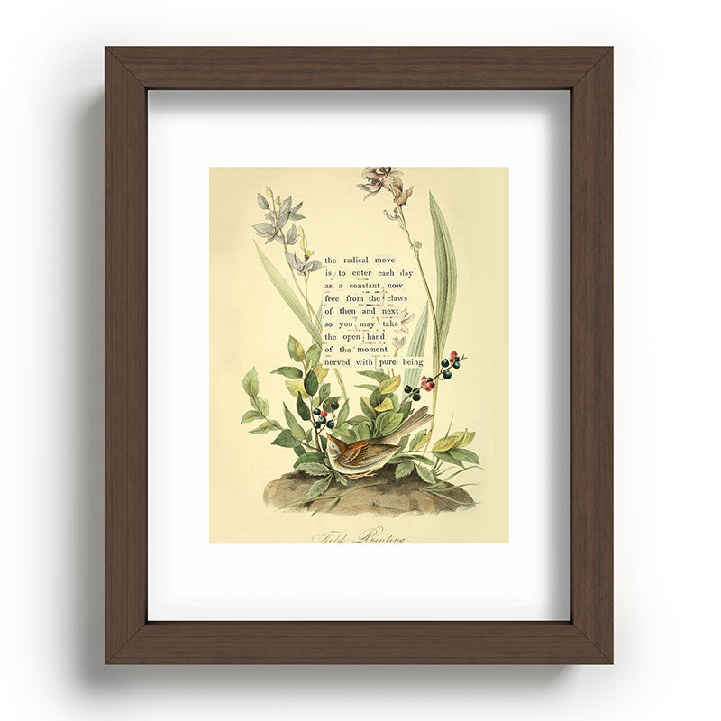 Bird Divinations: Field Bunting (about: almanacofbirds.org) Framed Art Print Gallery Image 63