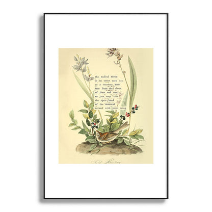 Bird Divinations: Field Bunting (about: almanacofbirds.org) Framed Art Print Gallery Image 86