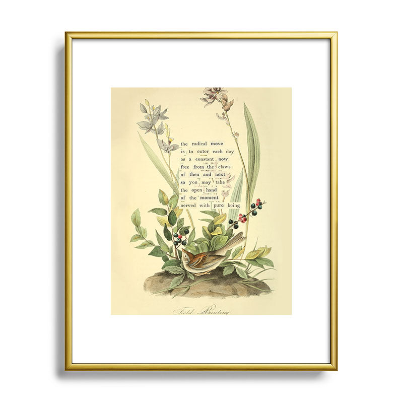 Bird Divinations: Field Bunting (about: almanacofbirds.org) Framed Art Print Gallery Image 89
