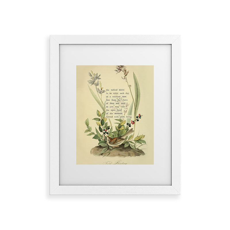 Bird Divinations: Field Bunting (about: almanacofbirds.org) Framed Art Print Gallery Image 51