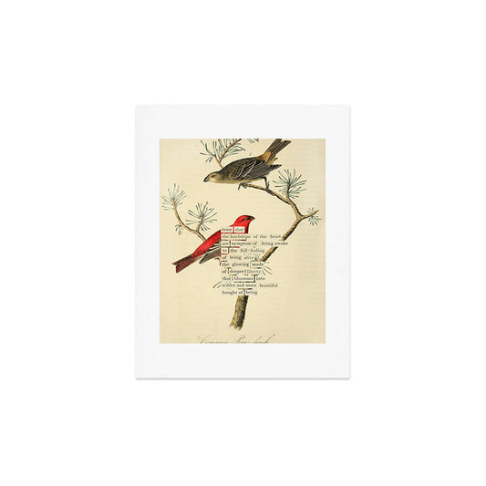 Bird Divinations: Pine Finch (about: almanacofbirds.org) Art Print Gallery Image 2