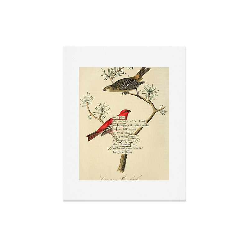 Bird Divinations: Pine Finch (about: almanacofbirds.org) Art Print Gallery Image 5