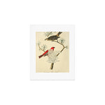 Bird Divinations: Pine Finch (about: almanacofbirds.org) Art Print Gallery Image 1
