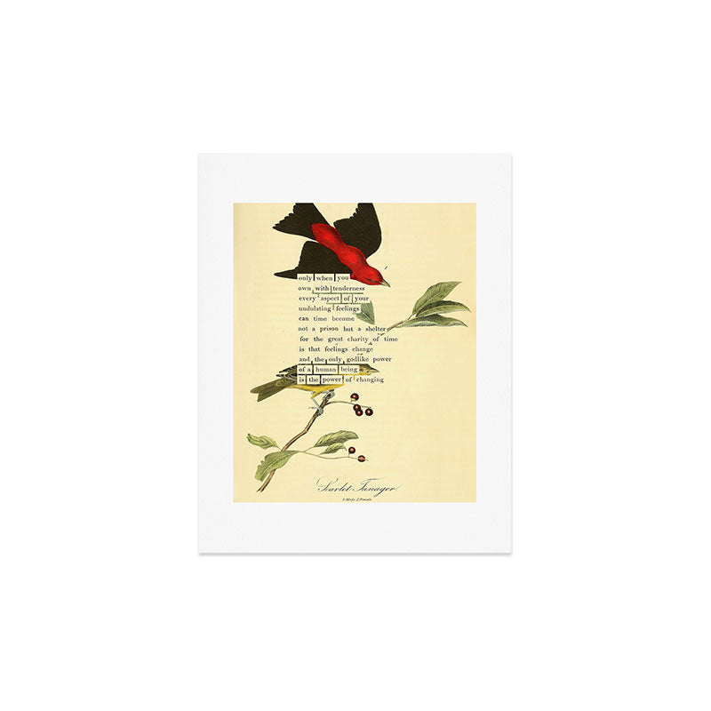 Bird Divinations: Scarlet Tanager (about: almanacofbirds.org) Art Print Gallery Image 3
