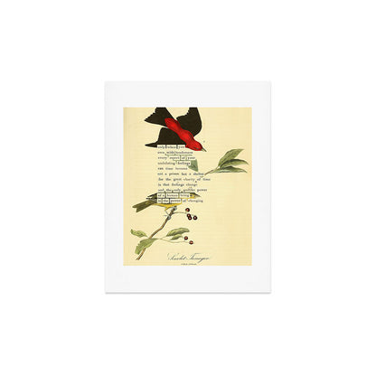 Bird Divinations: Scarlet Tanager (about: almanacofbirds.org) Art Print Gallery Image 2