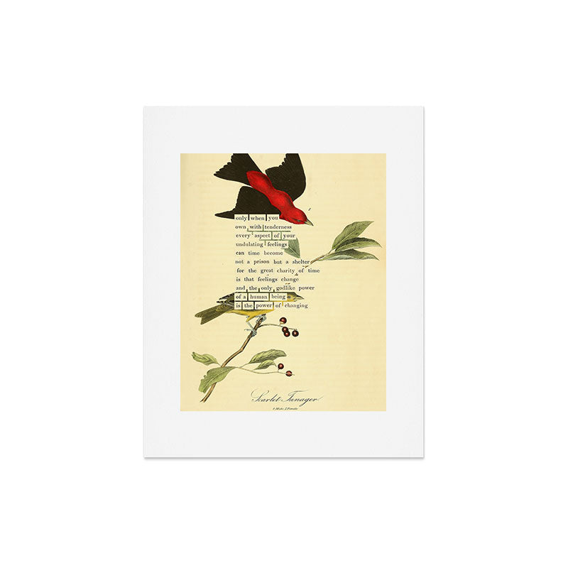 Bird Divinations: Scarlet Tanager (about: almanacofbirds.org) Art Print Gallery Image 4