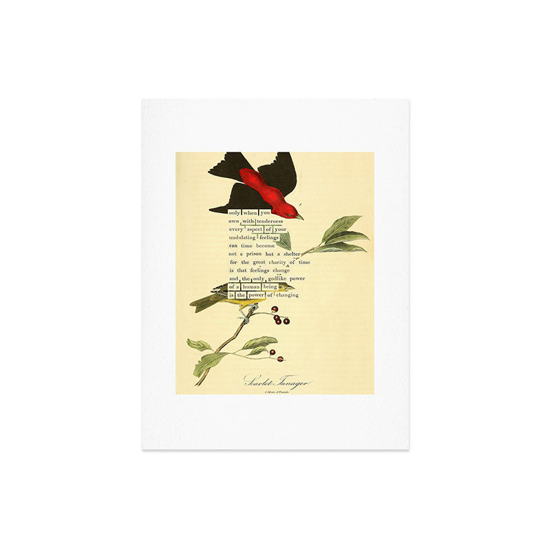 Bird Divinations: Scarlet Tanager (about: almanacofbirds.org) Art Print Gallery Image 6