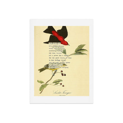Bird Divinations: Scarlet Tanager (about: almanacofbirds.org) Art Print Gallery Image 7