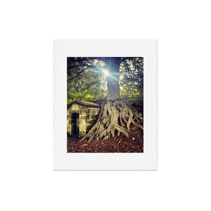 Possible Certainties Art Print Gallery Image 4