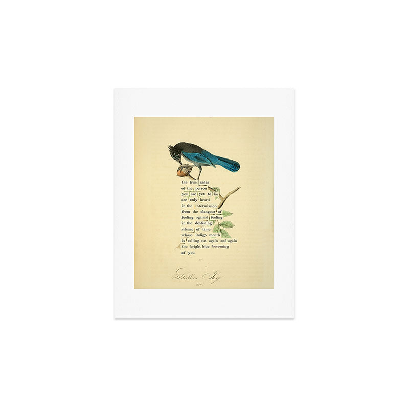 Stellers Jay Divination from # An Almanac of Birds # Divinations for Uncertain Days Art Print Gallery Image 3