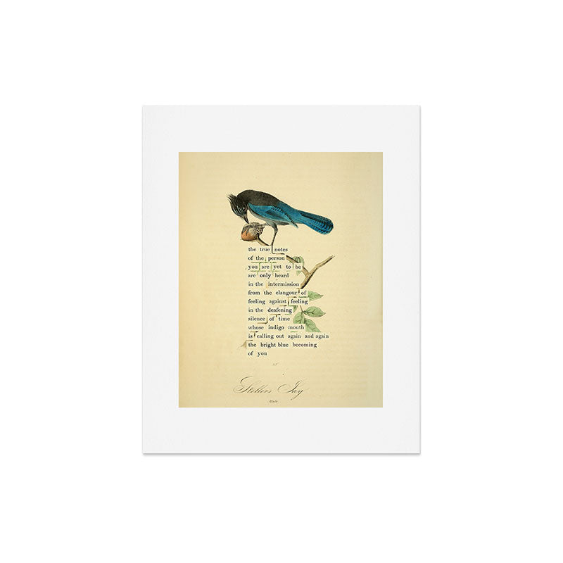 Stellers Jay Divination from # An Almanac of Birds # Divinations for Uncertain Days Art Print Gallery Image 4