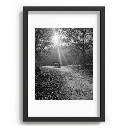 "Sunlit Solitude" by Maria Popova Framed Art Print Gallery Image 59