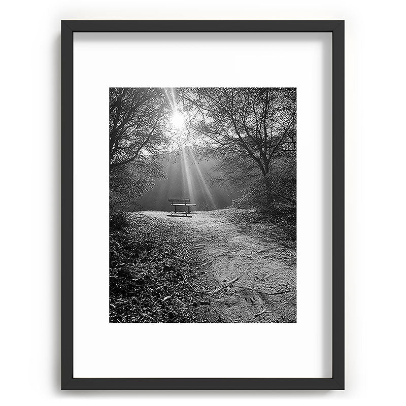 "Sunlit Solitude" by Maria Popova Framed Art Print Gallery Image 61