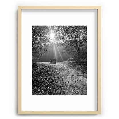 "Sunlit Solitude" by Maria Popova Framed Art Print Gallery Image 73
