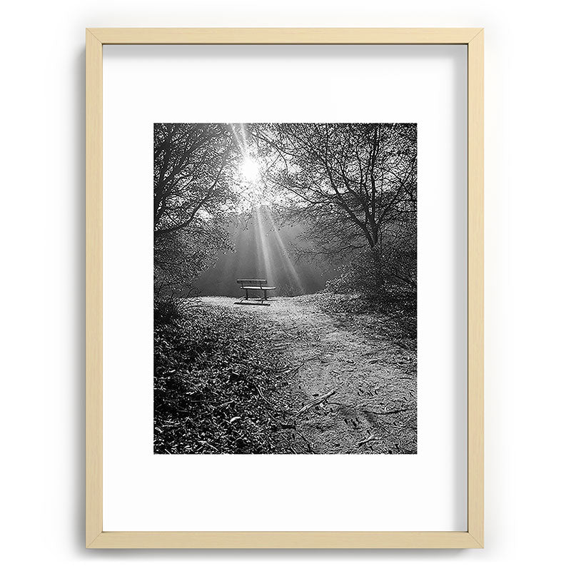 "Sunlit Solitude" by Maria Popova Framed Art Print Gallery Image 72