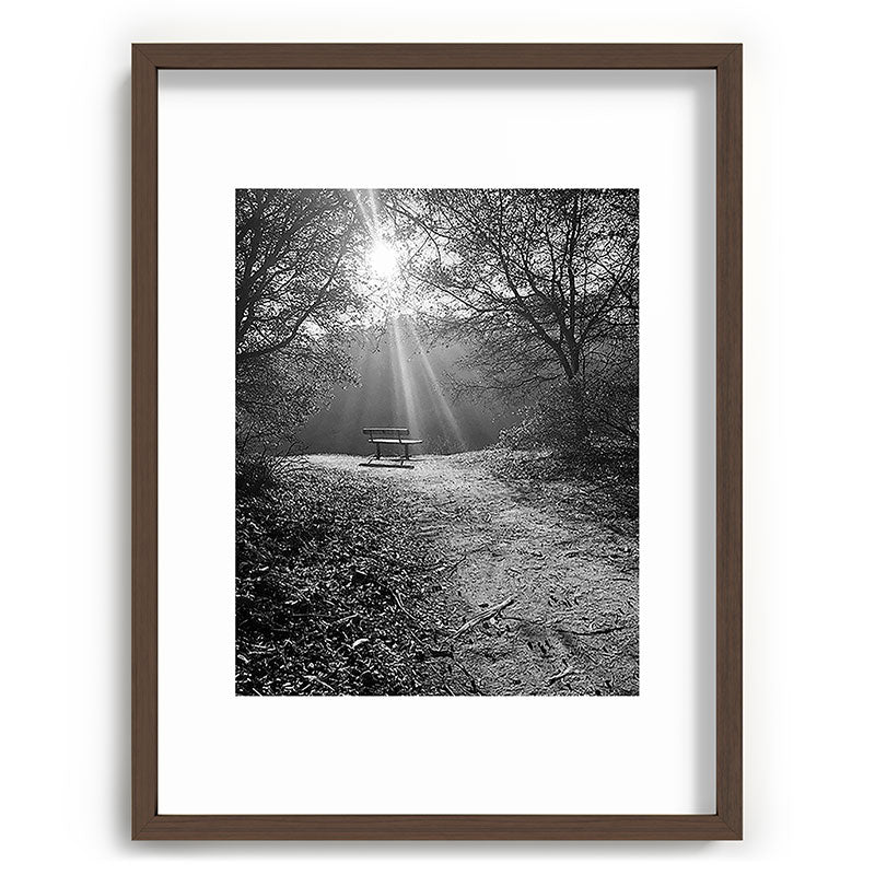 "Sunlit Solitude" by Maria Popova Framed Art Print Gallery Image 67