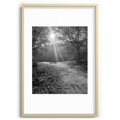 "Sunlit Solitude" by Maria Popova Framed Art Print Gallery Image 74