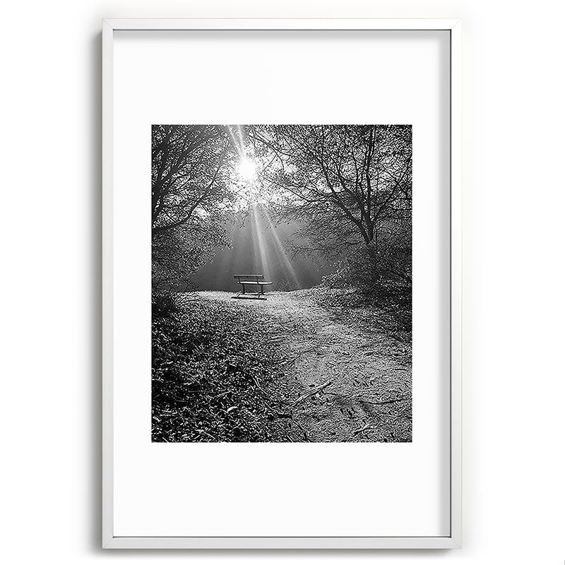 "Sunlit Solitude" by Maria Popova Framed Art Print Gallery Image 80
