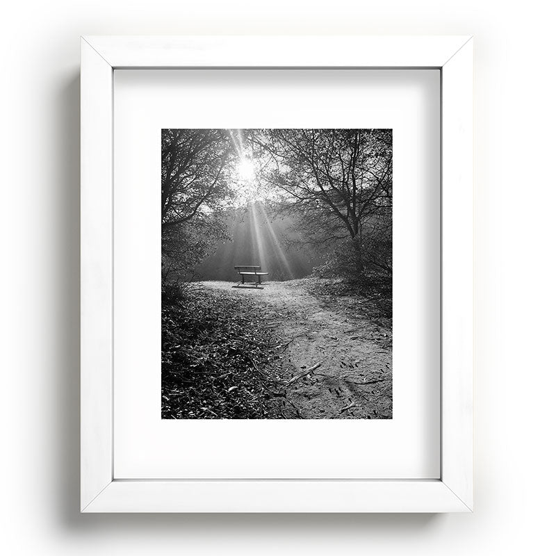 "Sunlit Solitude" by Maria Popova Framed Art Print Gallery Image 76