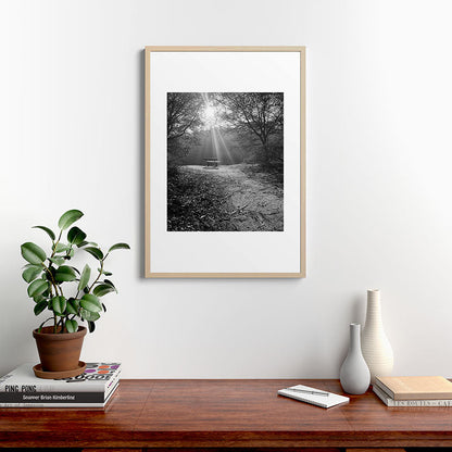 "Sunlit Solitude" by Maria Popova Framed Art Print Gallery Image 20