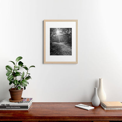 "Sunlit Solitude" by Maria Popova Framed Art Print Gallery Image 47