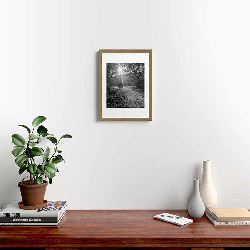 "Sunlit Solitude" by Maria Popova Framed Art Print Gallery Image 10
