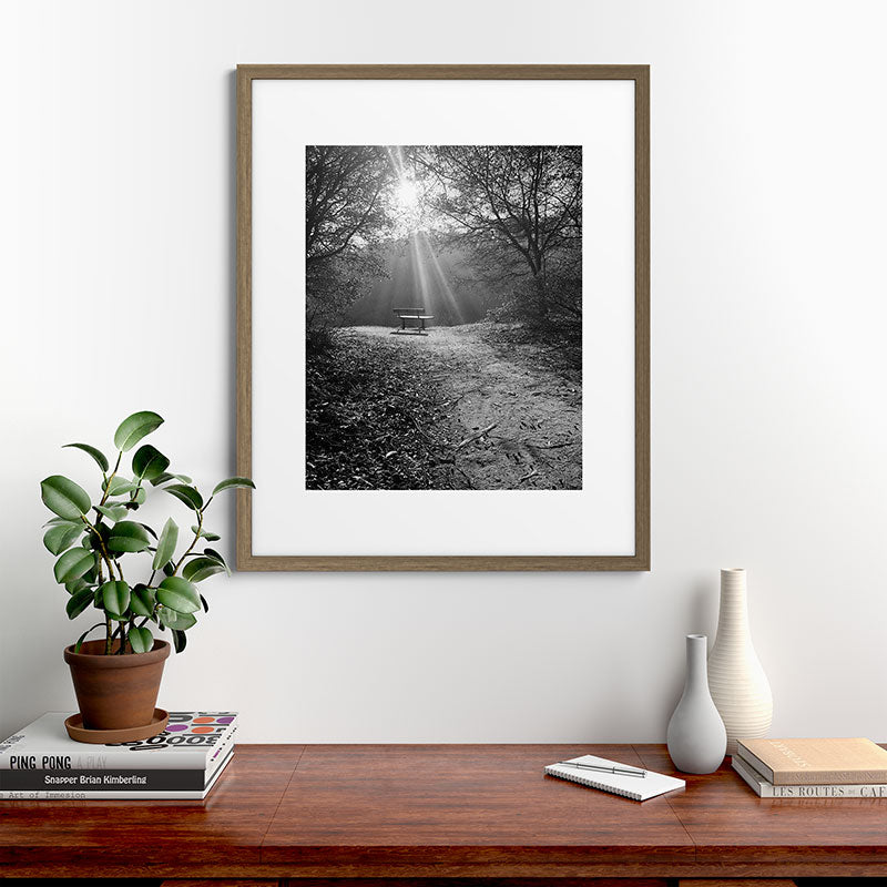 "Sunlit Solitude" by Maria Popova Framed Art Print Gallery Image 42