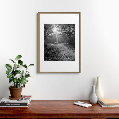 "Sunlit Solitude" by Maria Popova Framed Art Print Gallery Image 13