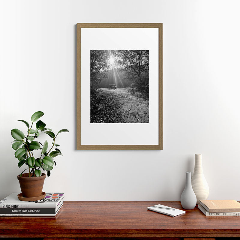 "Sunlit Solitude" by Maria Popova Framed Art Print Gallery Image 41