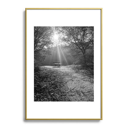 "Sunlit Solitude" by Maria Popova Framed Art Print Gallery Image 90