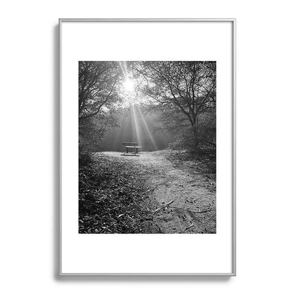 "Sunlit Solitude" by Maria Popova Framed Art Print Gallery Image 97
