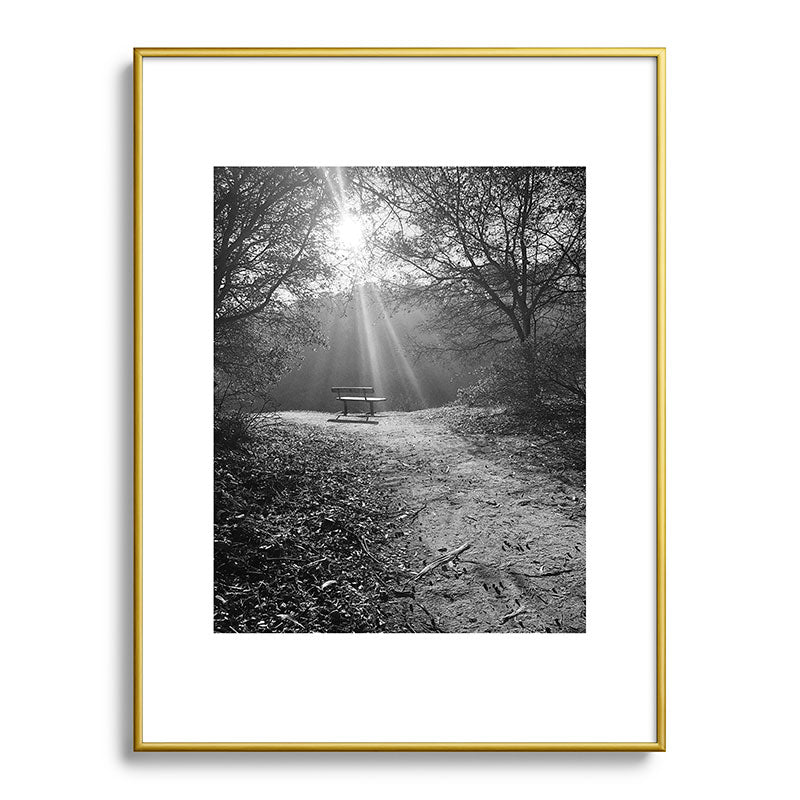 "Sunlit Solitude" by Maria Popova Framed Art Print Gallery Image 92