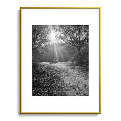 "Sunlit Solitude" by Maria Popova Framed Art Print Gallery Image 92