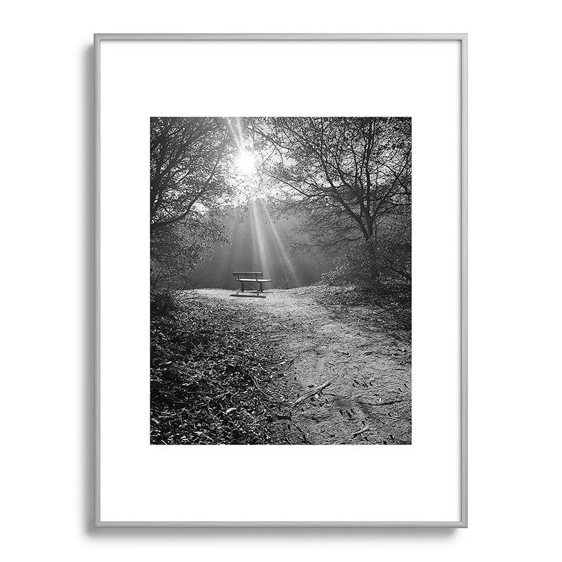 "Sunlit Solitude" by Maria Popova Framed Art Print Gallery Image 99