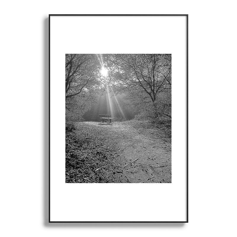 "Sunlit Solitude" by Maria Popova Framed Art Print Gallery Image 86
