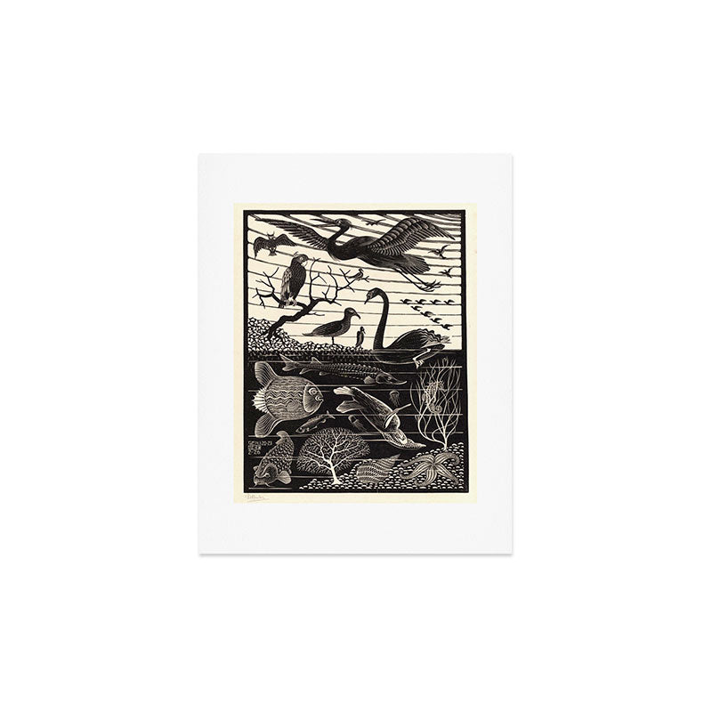 "The Fifth Day of Creation" by M.C. Escher Art Print Gallery Image 2
