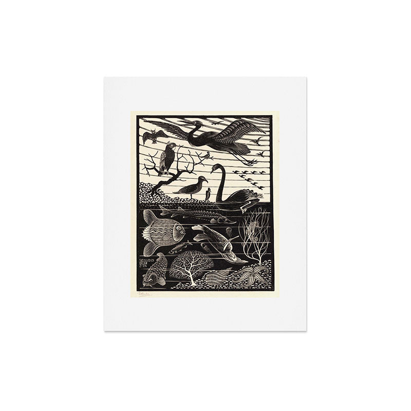 "The Fifth Day of Creation" by M.C. Escher Art Print Gallery Image 5