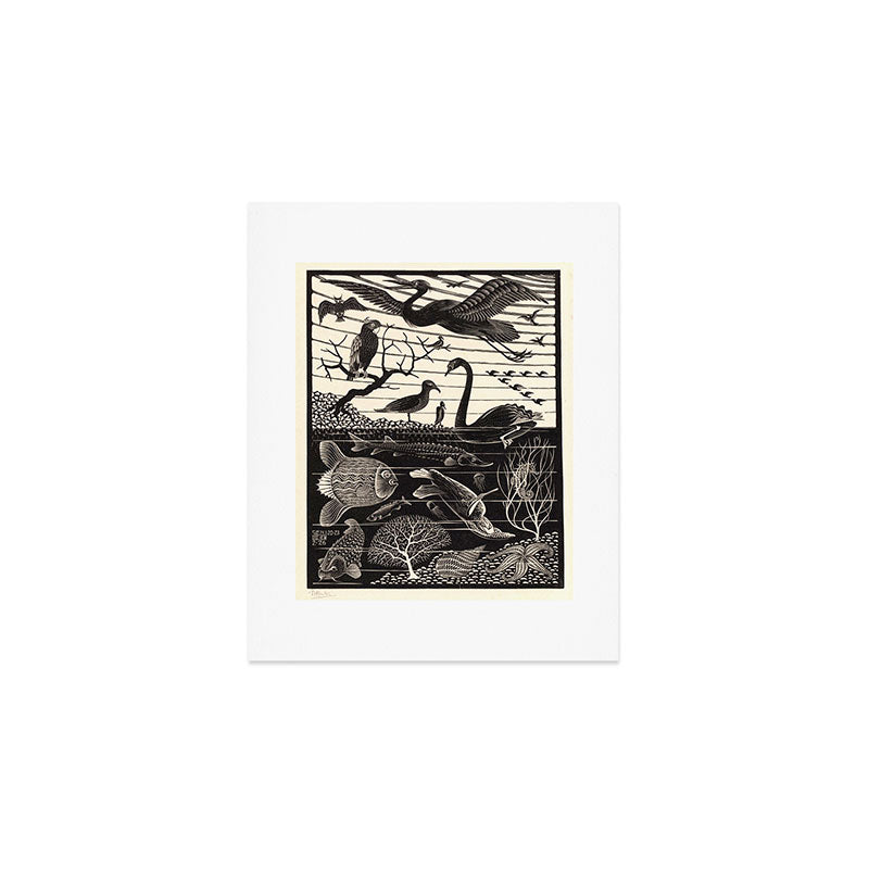 "The Fifth Day of Creation" by M.C. Escher Art Print Gallery Image 1