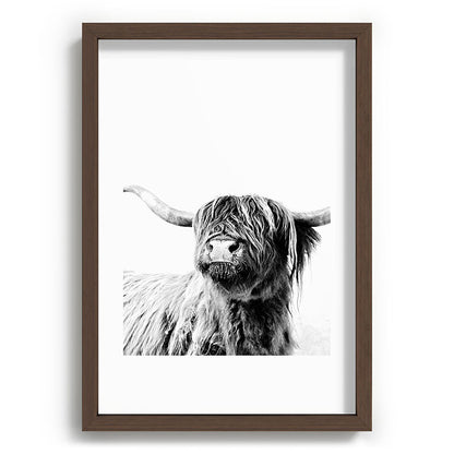 HIGHLAND CATTLE FRIDA Framed Art Print Gallery Image 89