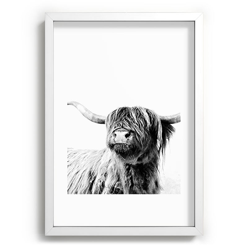 HIGHLAND CATTLE FRIDA Framed Art Print Gallery Image 105