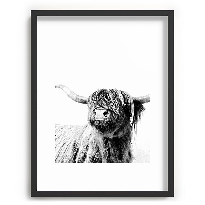 HIGHLAND CATTLE FRIDA Framed Art Print Gallery Image 83