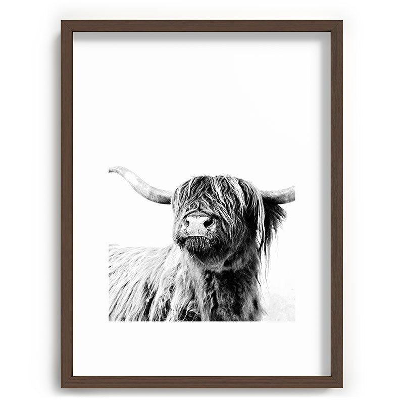 HIGHLAND CATTLE FRIDA Framed Art Print Gallery Image 91